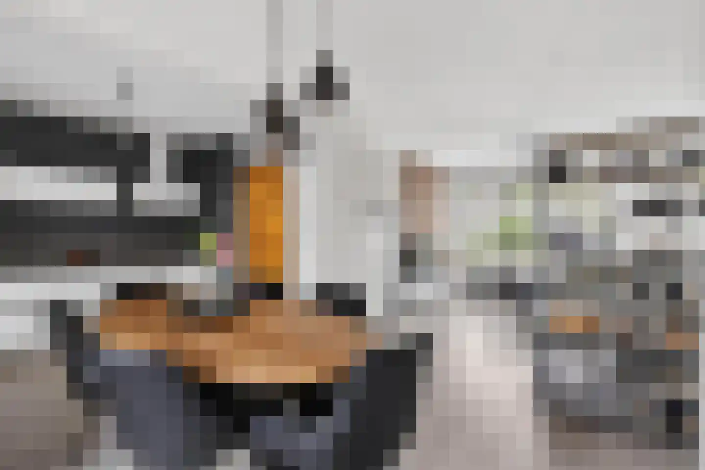 Duyvecamp 4 Heenvliet thumbnail 14