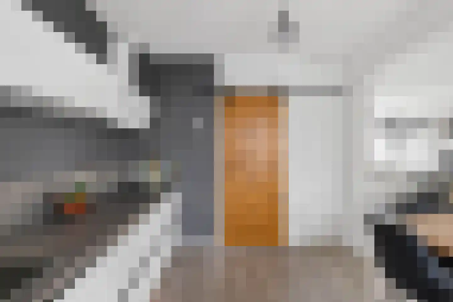 Duyvecamp 4 Heenvliet thumbnail 17