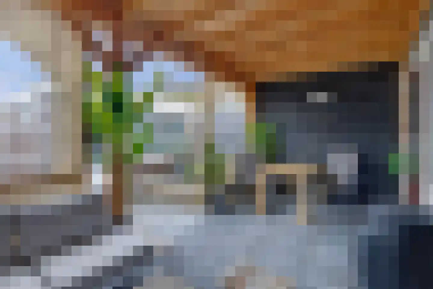 Duyvecamp 4 Heenvliet thumbnail 21