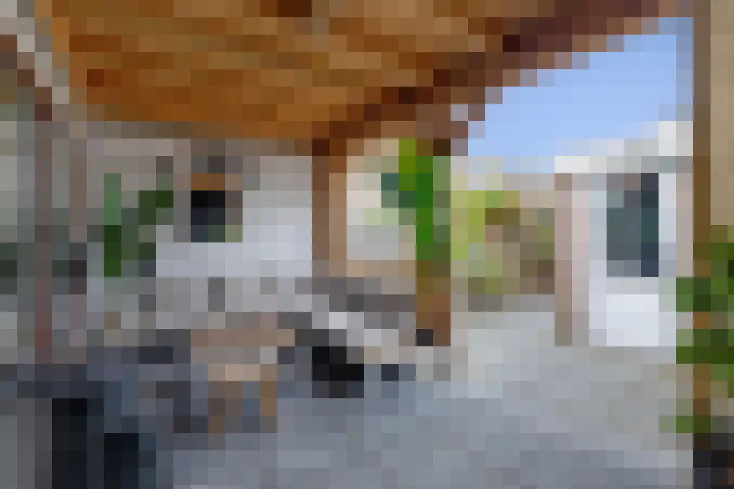 Duyvecamp 4 Heenvliet thumbnail 22
