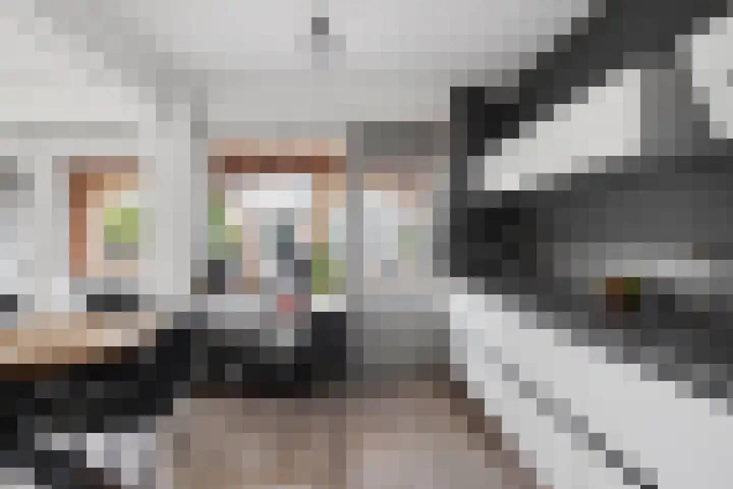 Duyvecamp 4 Heenvliet thumbnail 4