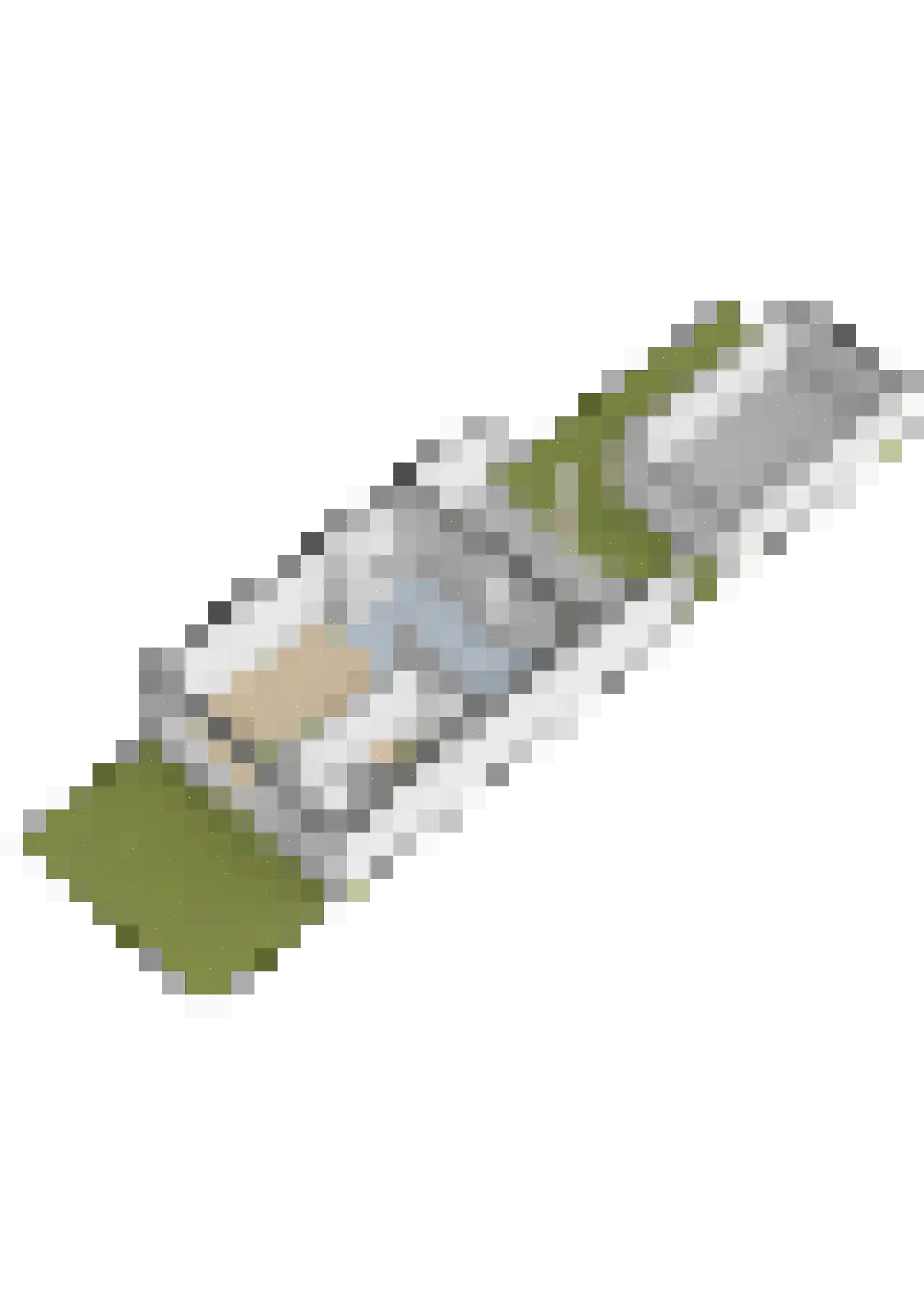 Duyvecamp 4 Heenvliet thumbnail 46