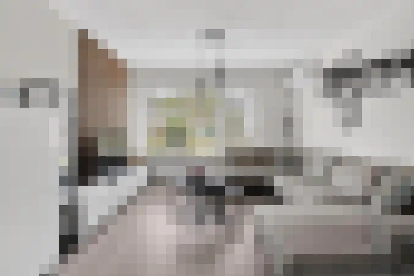 Duyvecamp 4 Heenvliet thumbnail 9