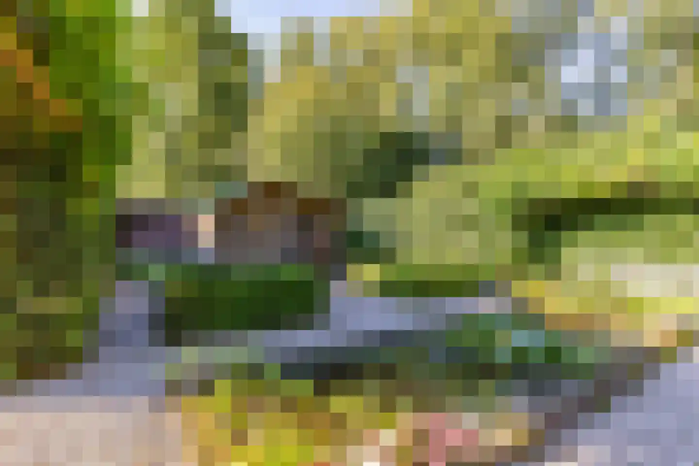 Duyvekotstraat 13 Moergestel thumbnail 32