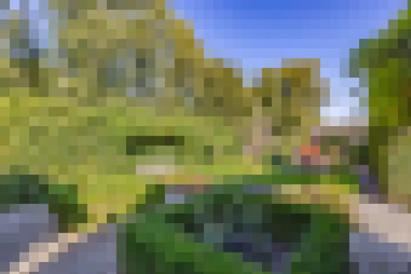 Duyvekotstraat 13 Moergestel thumbnail 33