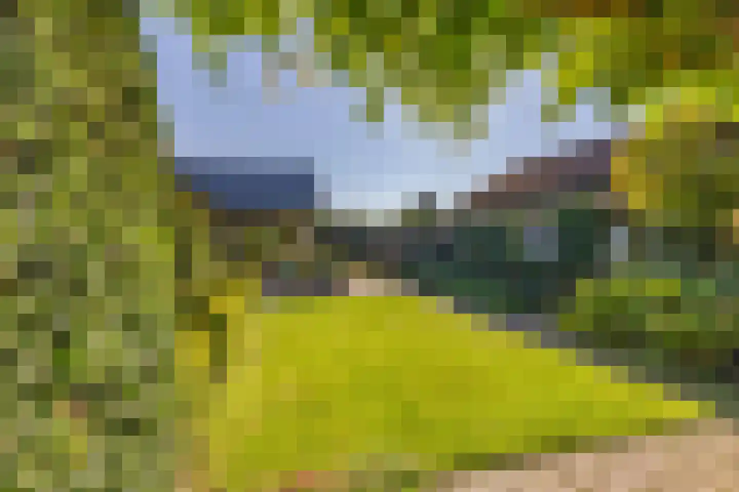 Duyvekotstraat 13 Moergestel thumbnail 38