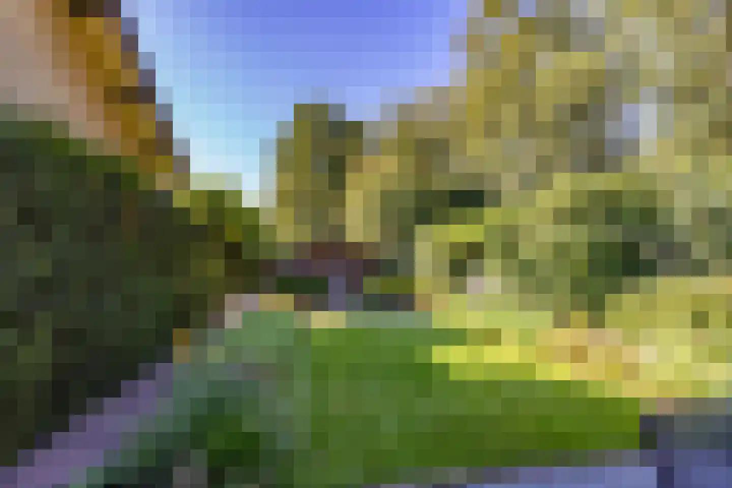 Duyvekotstraat 13 Moergestel thumbnail 4