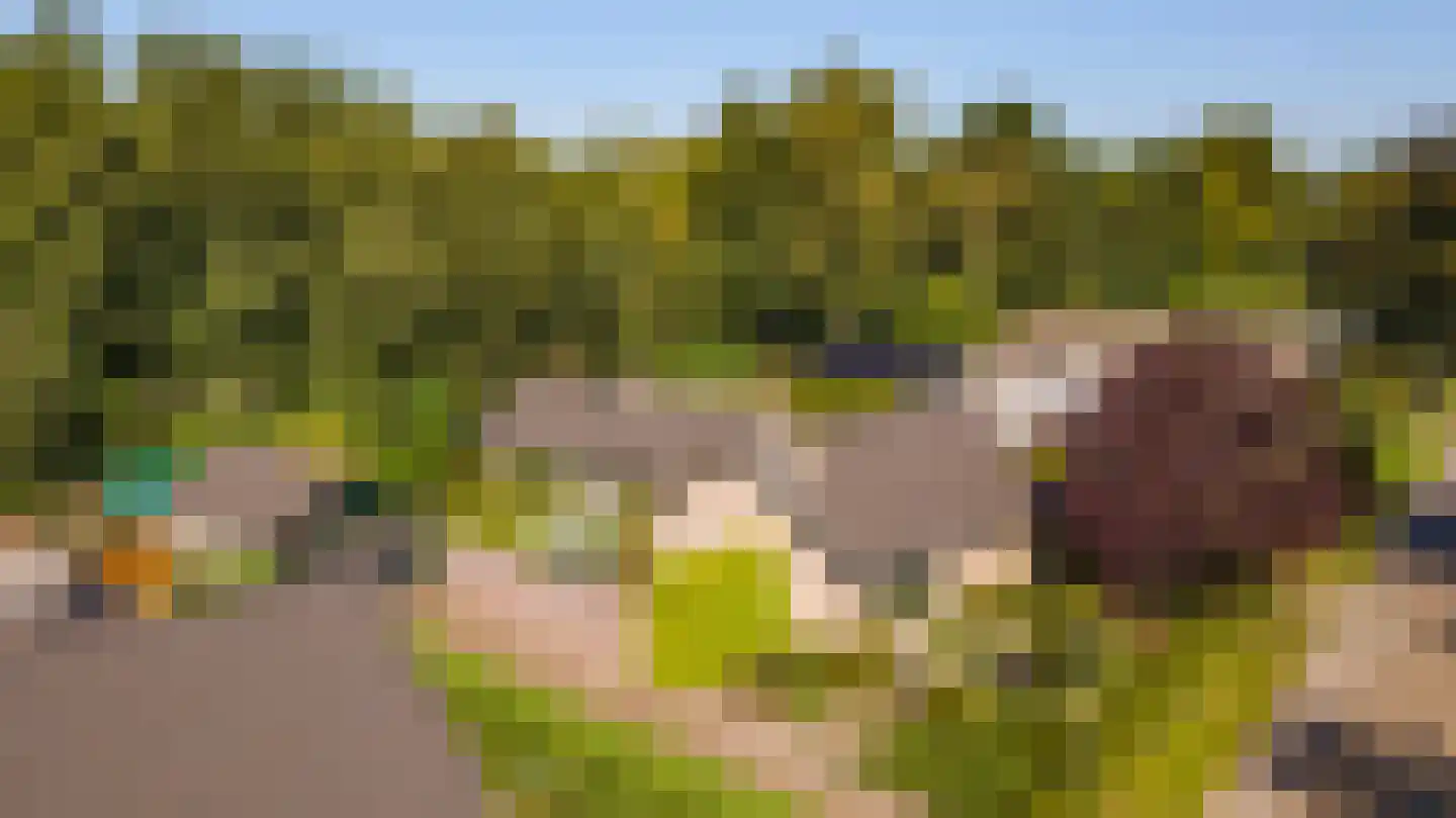 Duyvekotstraat 13 Moergestel thumbnail 5