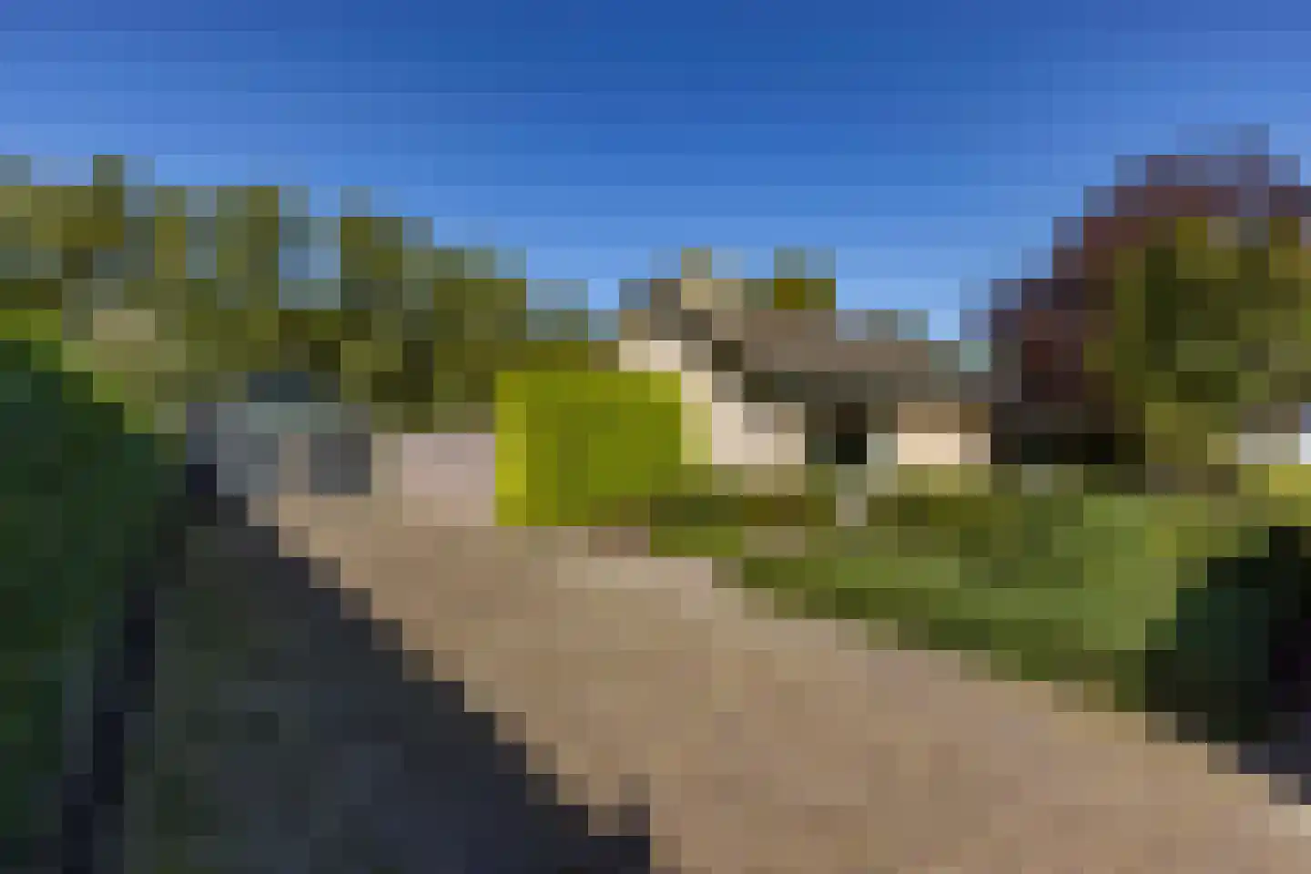 Duyvekotstraat 13 Moergestel thumbnail 7