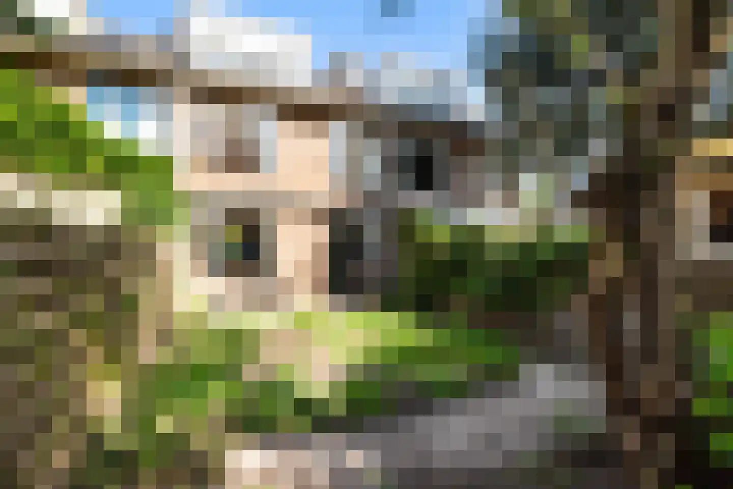 Duyvendakstraat 4 Leiden thumbnail 5