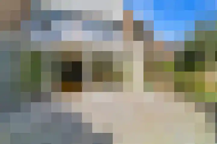 Duyvenvoordestraat 145 Monster thumbnail 17