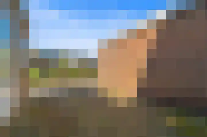 Duyvenvoordestraat 145 Monster thumbnail 44