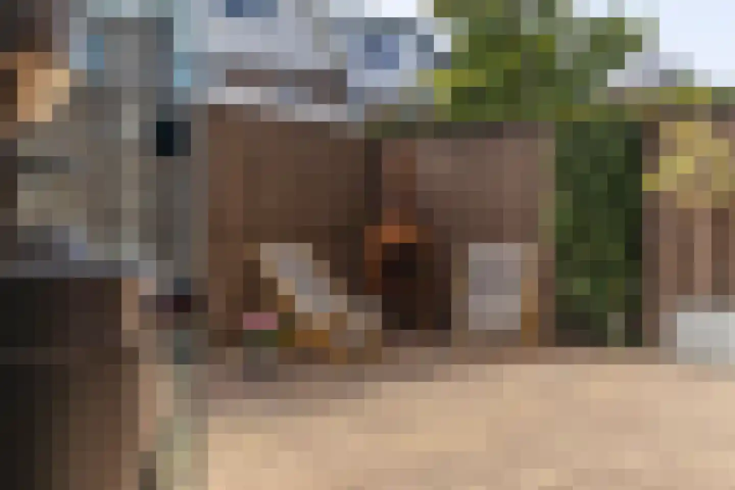 Duyvenvoordestraat 153 Monster thumbnail 18