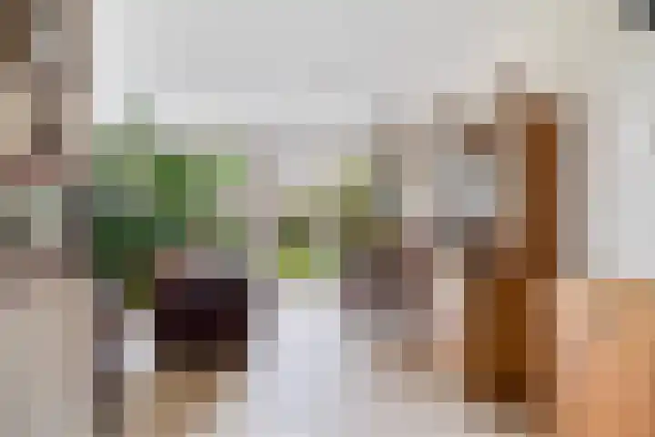 Duyvenvoordestraat 155 Monster thumbnail 11
