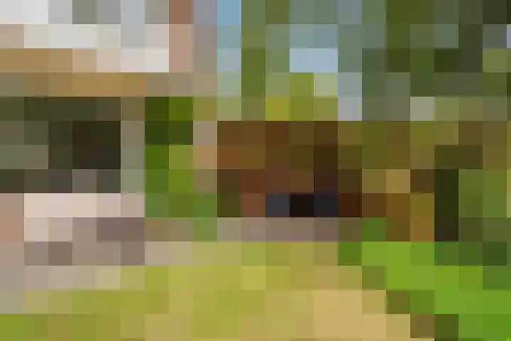 Duyvenvoordestraat 155 Monster thumbnail 15