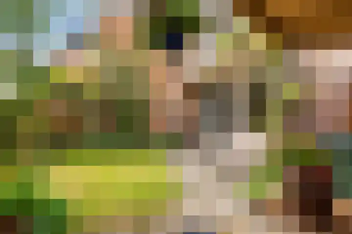 Duyvenvoordestraat 155 Monster thumbnail 16