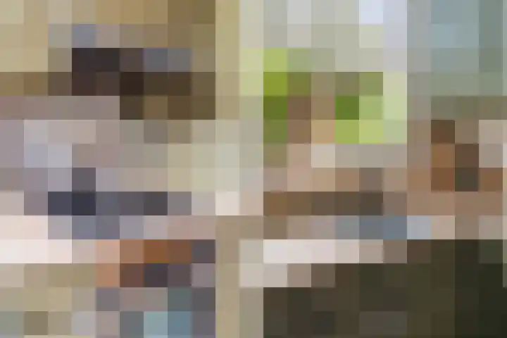 Duyvenvoordestraat 155 Monster thumbnail 22