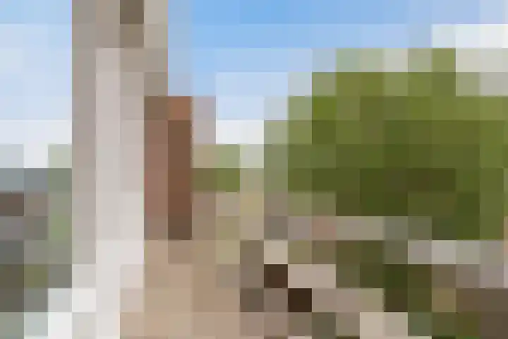 Duyvenvoordestraat 155 Monster thumbnail 32