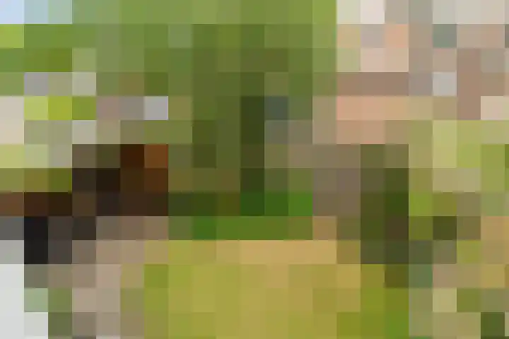 Duyvenvoordestraat 155 Monster thumbnail 34