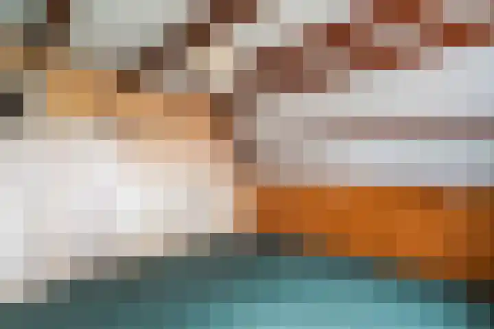 Duyvenvoordestraat 155 Monster thumbnail 43