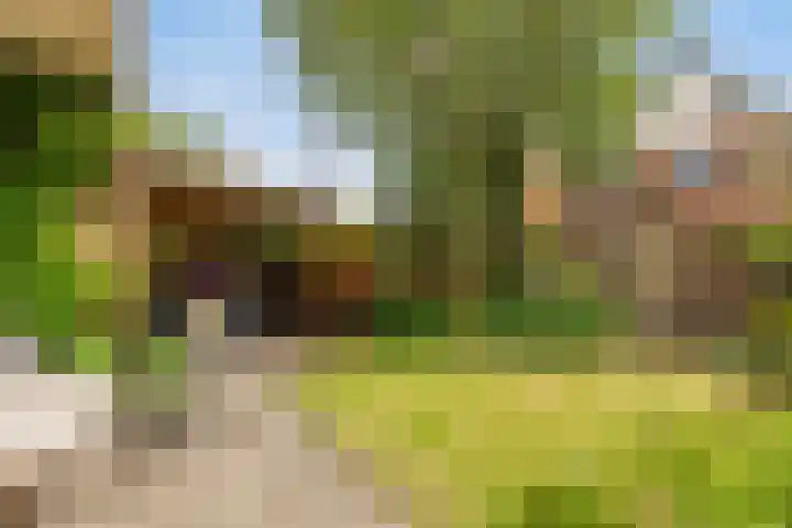 Duyvenvoordestraat 155 Monster thumbnail 6