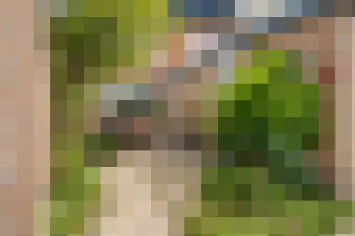 Duyvenvoordestraat 155 Monster thumbnail 7