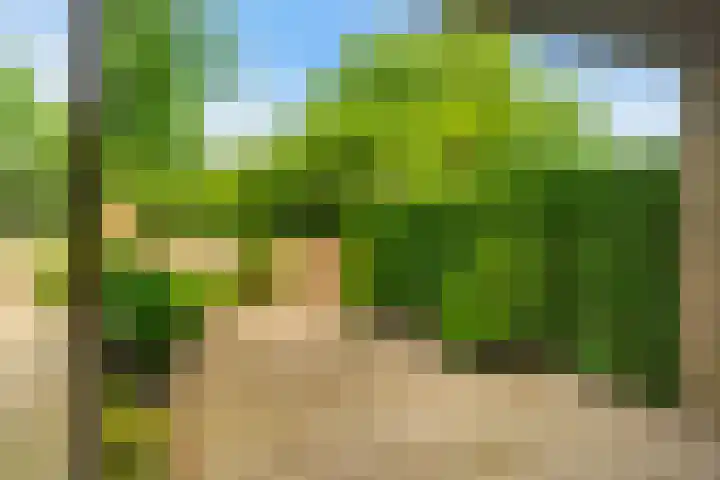Duyvenvoordestraat 26 Monster thumbnail 14