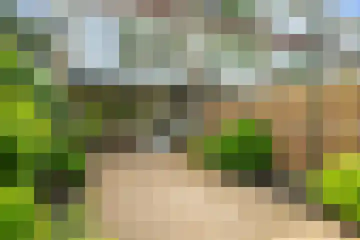 Duyvenvoordestraat 26 Monster thumbnail 16