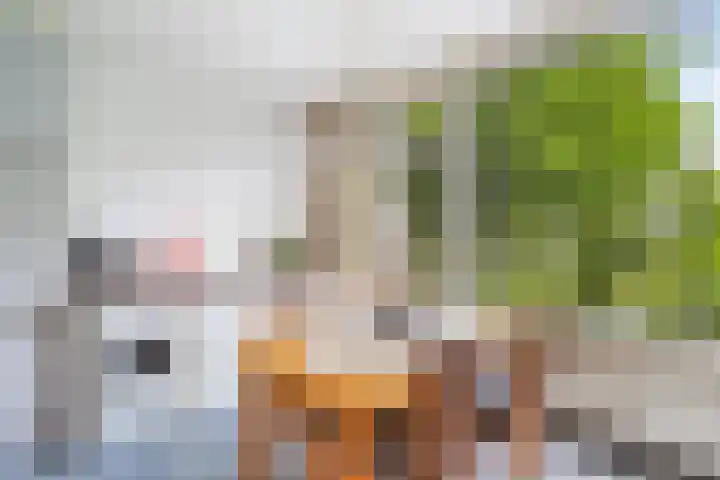 Duyvenvoordestraat 26 Monster thumbnail 27