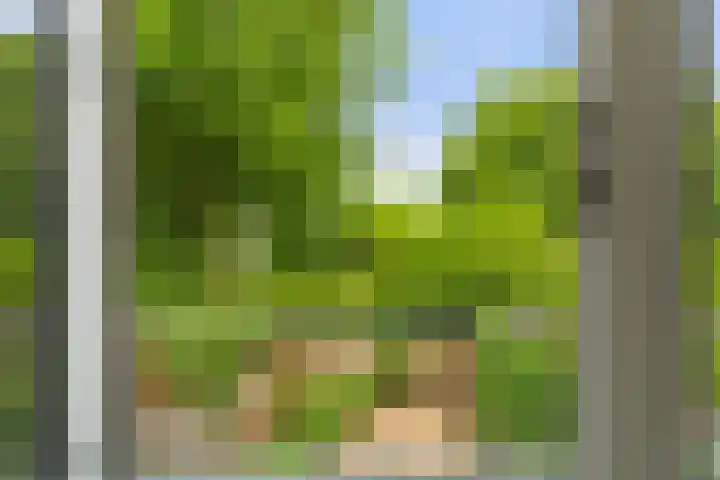 Duyvenvoordestraat 26 Monster thumbnail 32