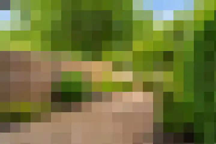 Duyvenvoordestraat 26 Monster thumbnail 6