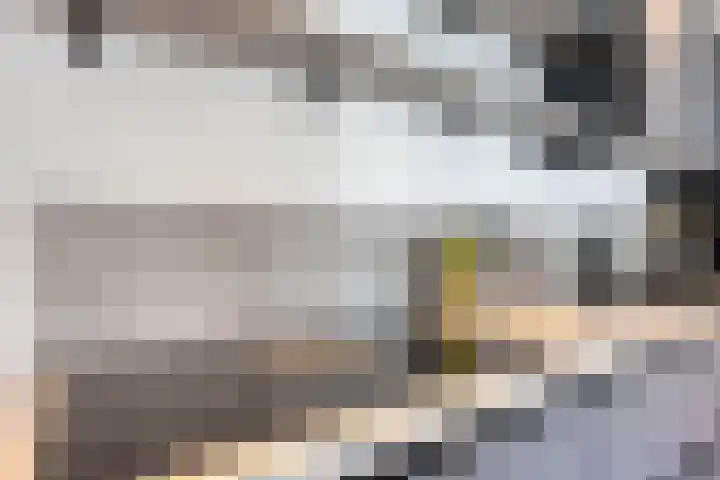 Duyvesteynhof 19 Rotterdam thumbnail 11
