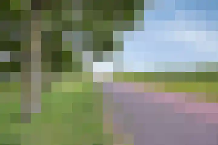 Duyvesteynhof 19 Rotterdam thumbnail 18