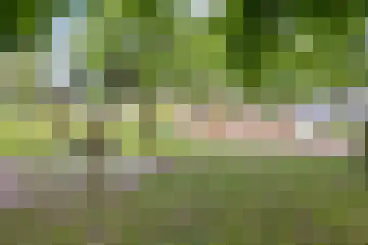 Duyvesteynhof 19 Rotterdam thumbnail 20