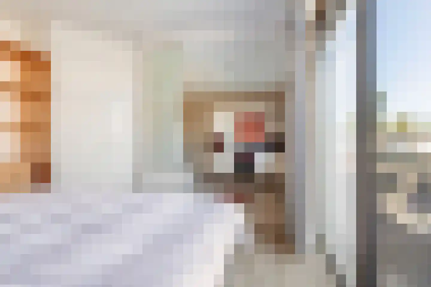 Duyvesteynstraat 19 Rotterdam thumbnail 19