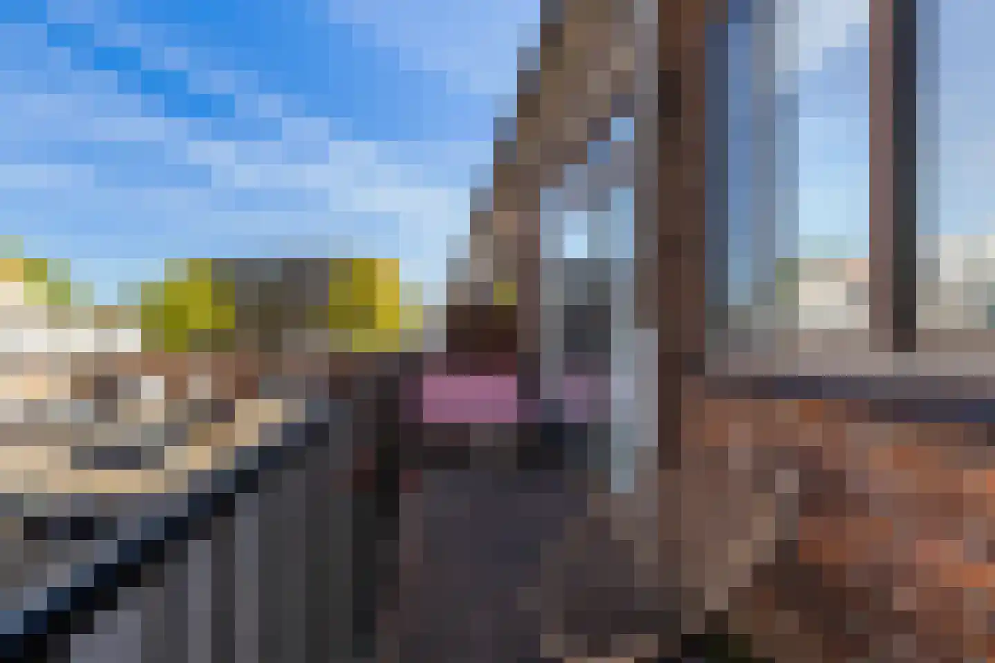 Duyvesteynstraat 19 Rotterdam thumbnail 4