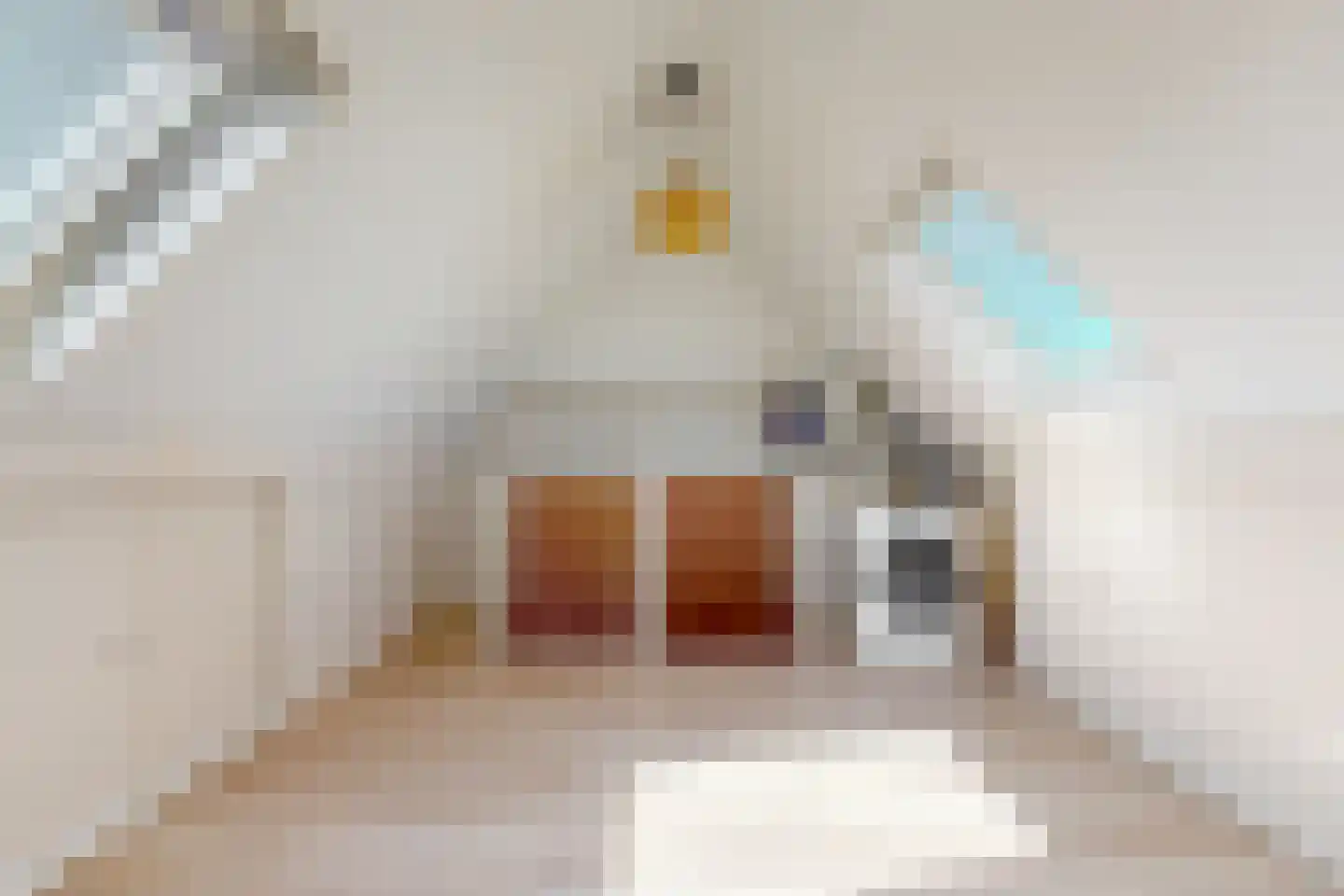 Dvořákhof 22 Hoorn thumbnail 22