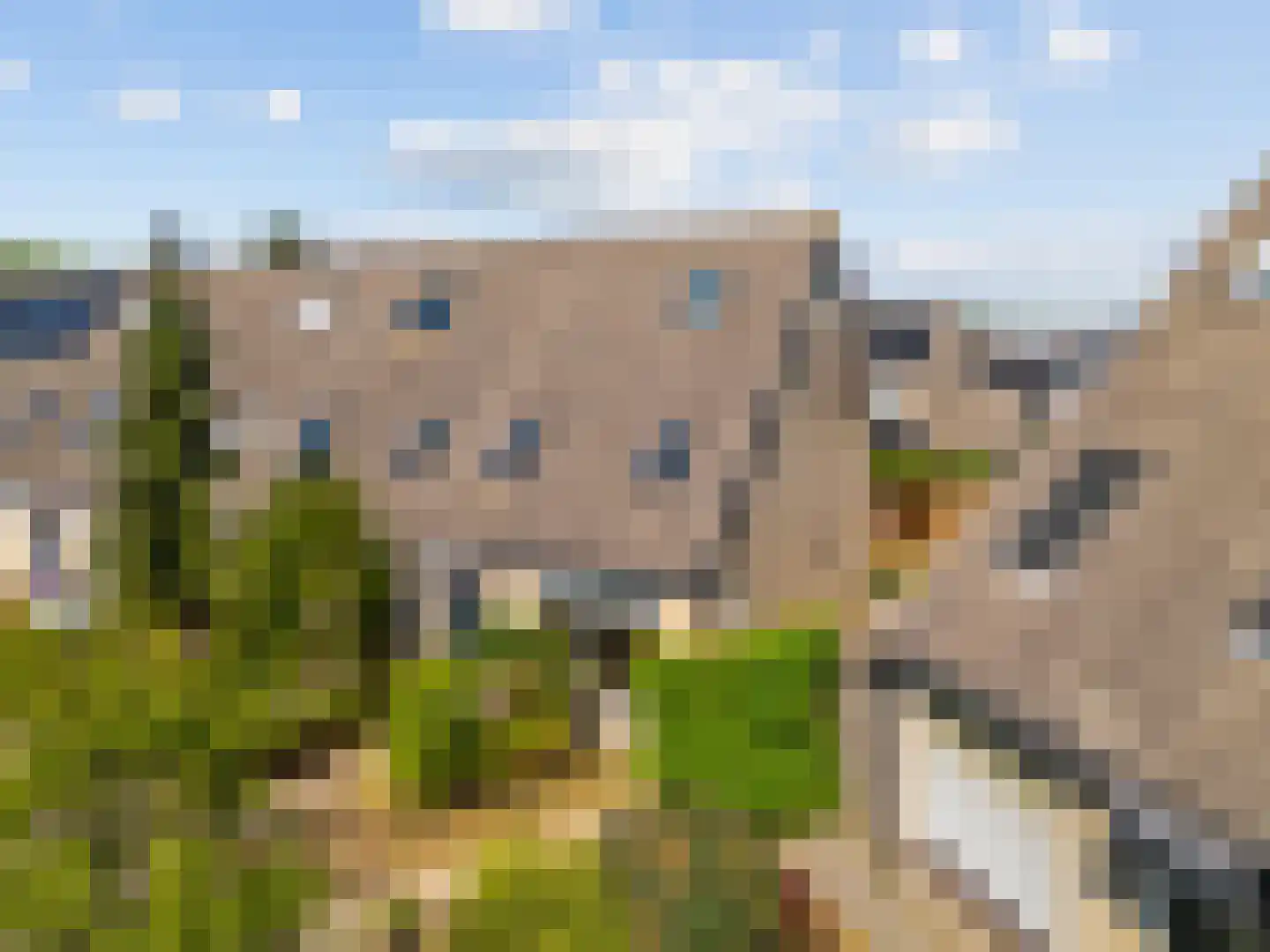 Dvořákhof 22 Hoorn thumbnail 34