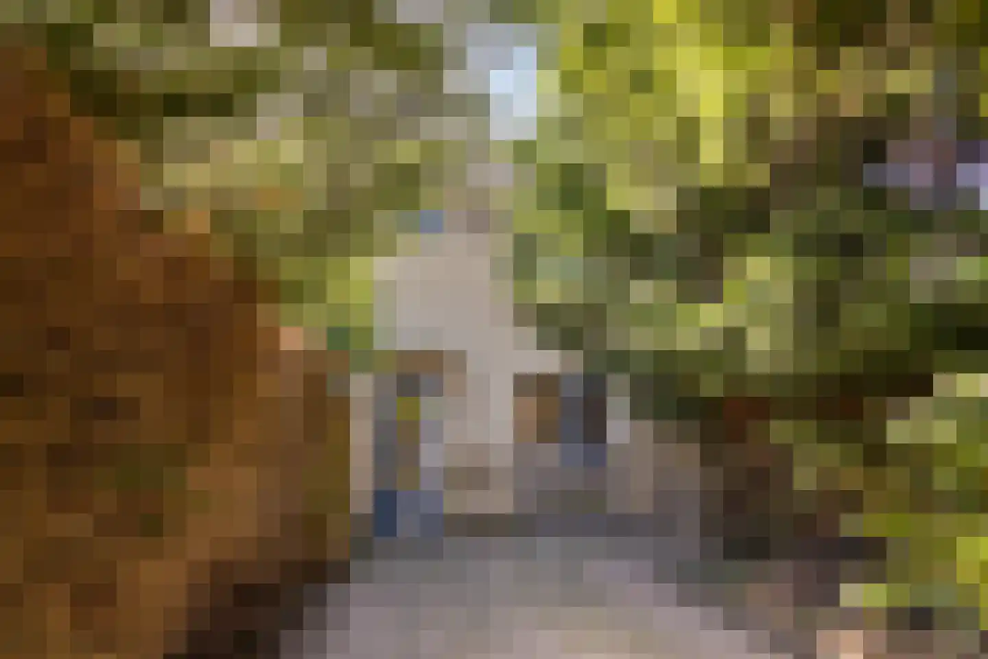 Dvořákhof 23 Hoorn thumbnail 18