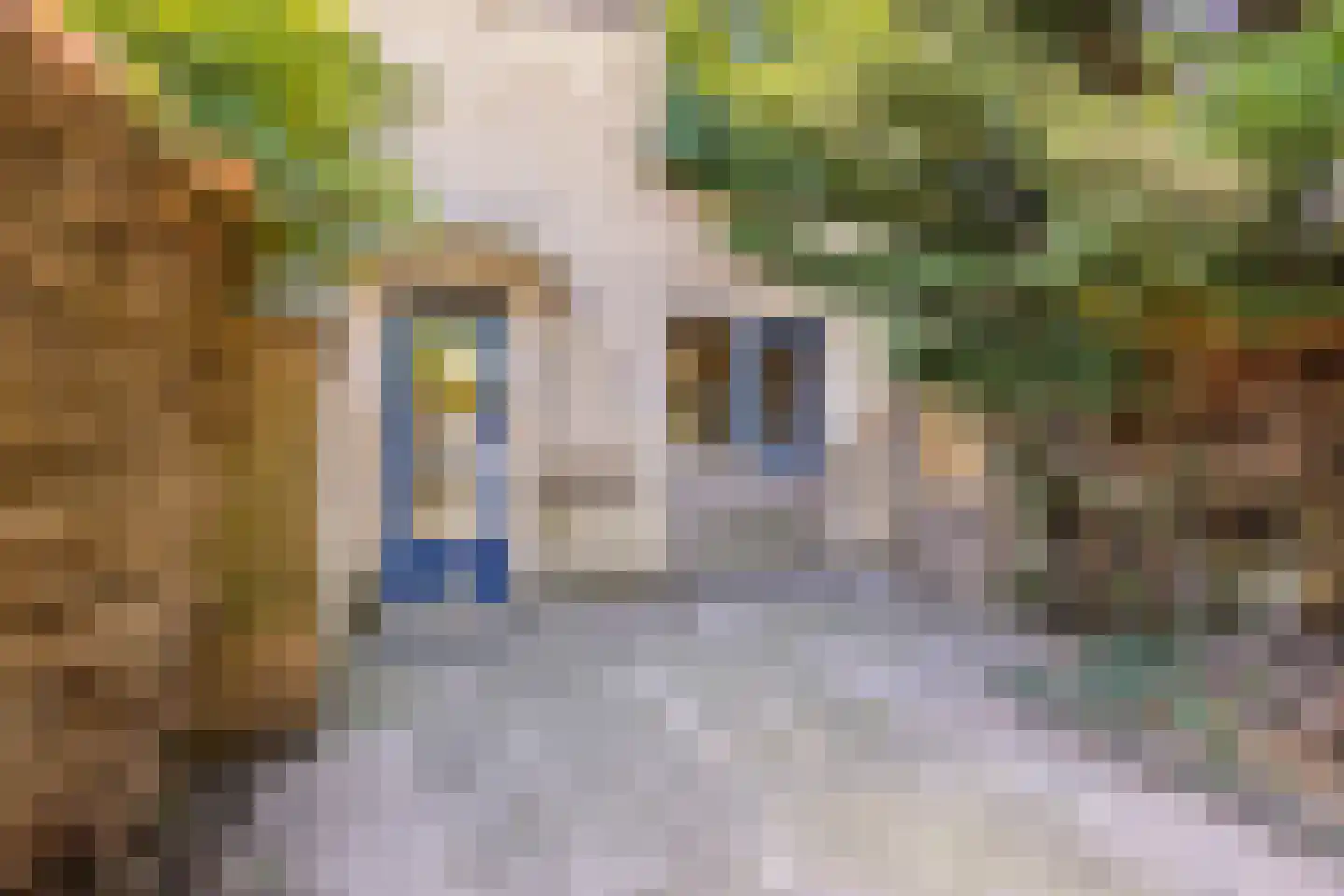 Dvořákhof 23 Hoorn thumbnail 19