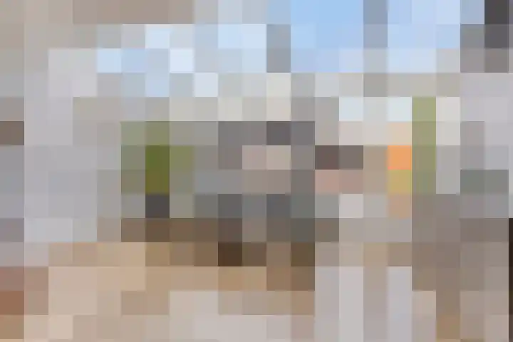 Dvořákhof 34 Hoorn thumbnail 12