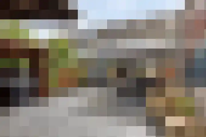 Dvořákhof 34 Hoorn thumbnail 38