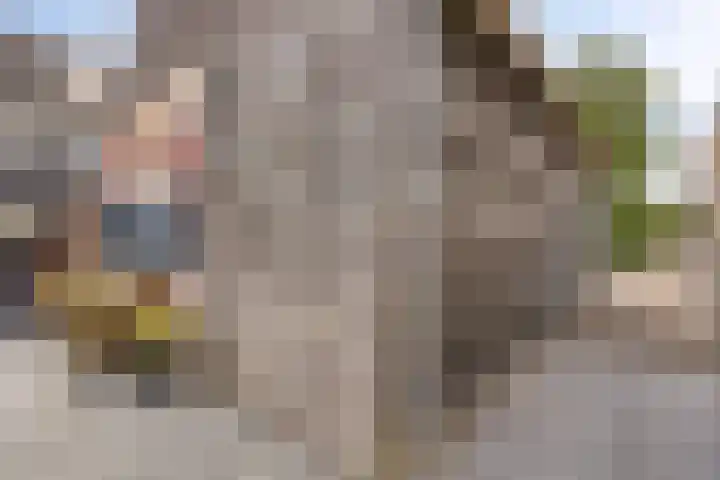 Dvořákhof 34 Hoorn thumbnail 39