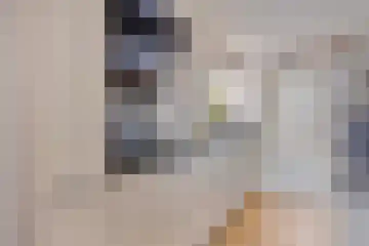 Dvořákhof 34 Hoorn thumbnail 4
