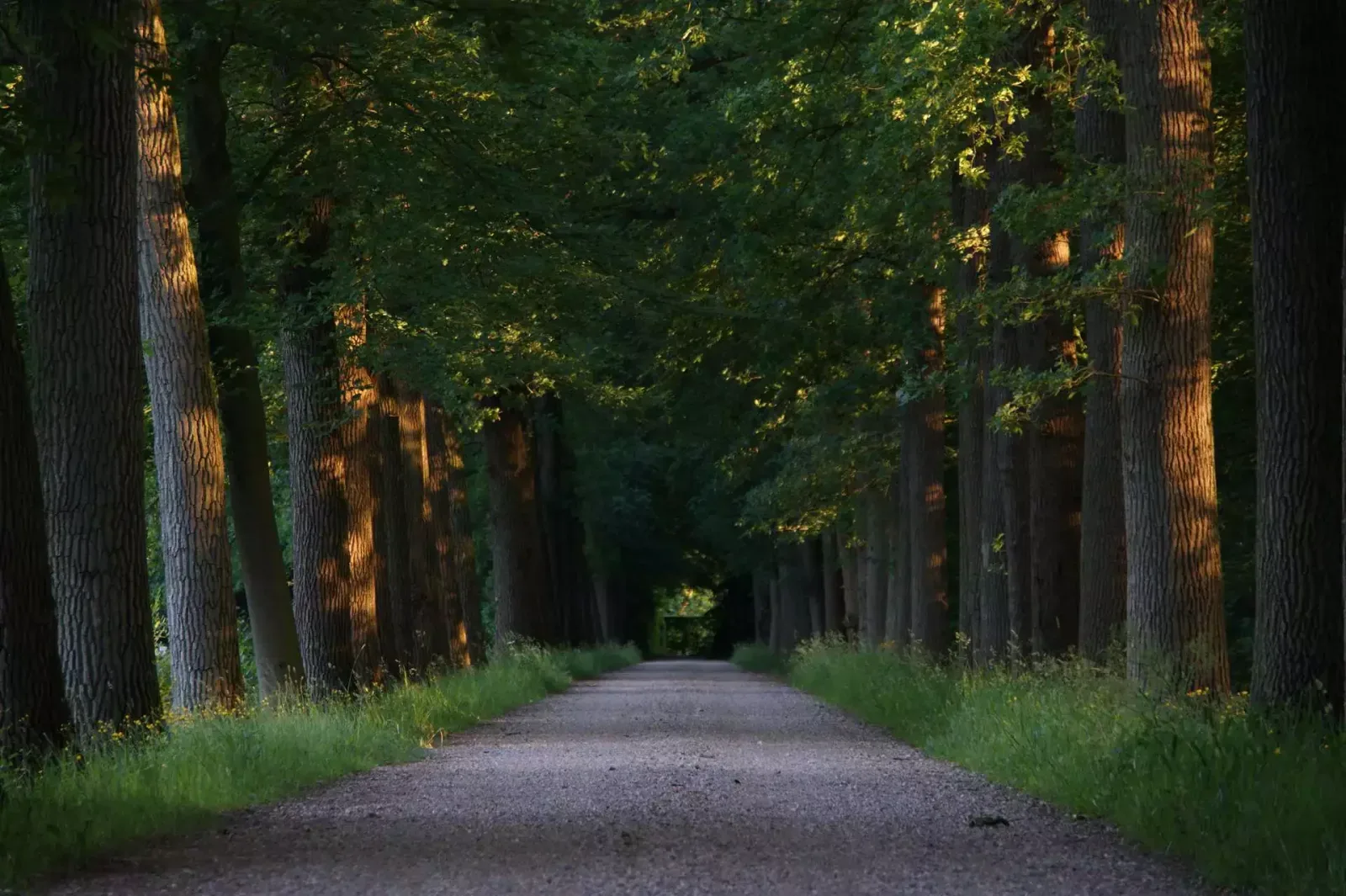 Mannschaftsfoto von DW Makelaardij