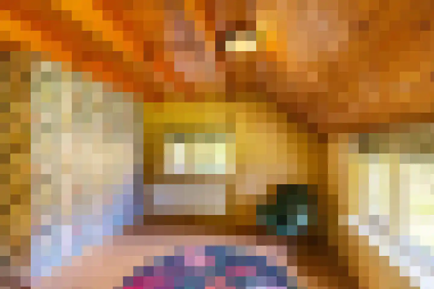 Dwangsweg 13 Noordbroek thumbnail 24