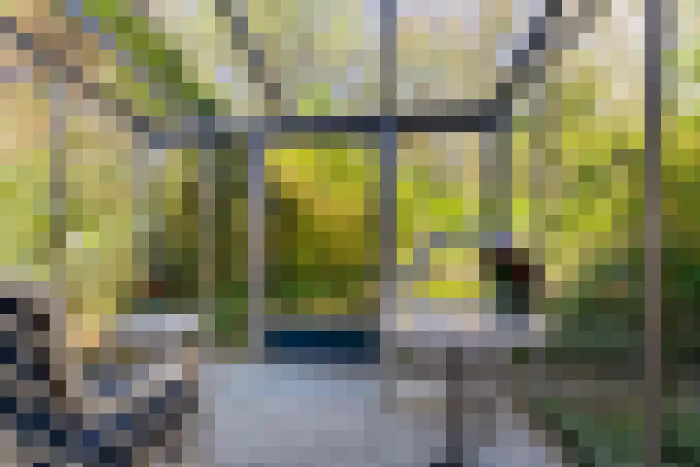 Dwangsweg 13 Noordbroek thumbnail 30