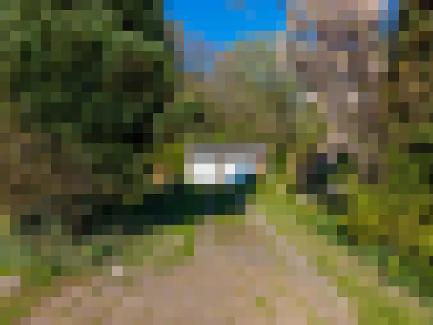 Dwangsweg 13 Noordbroek thumbnail 33