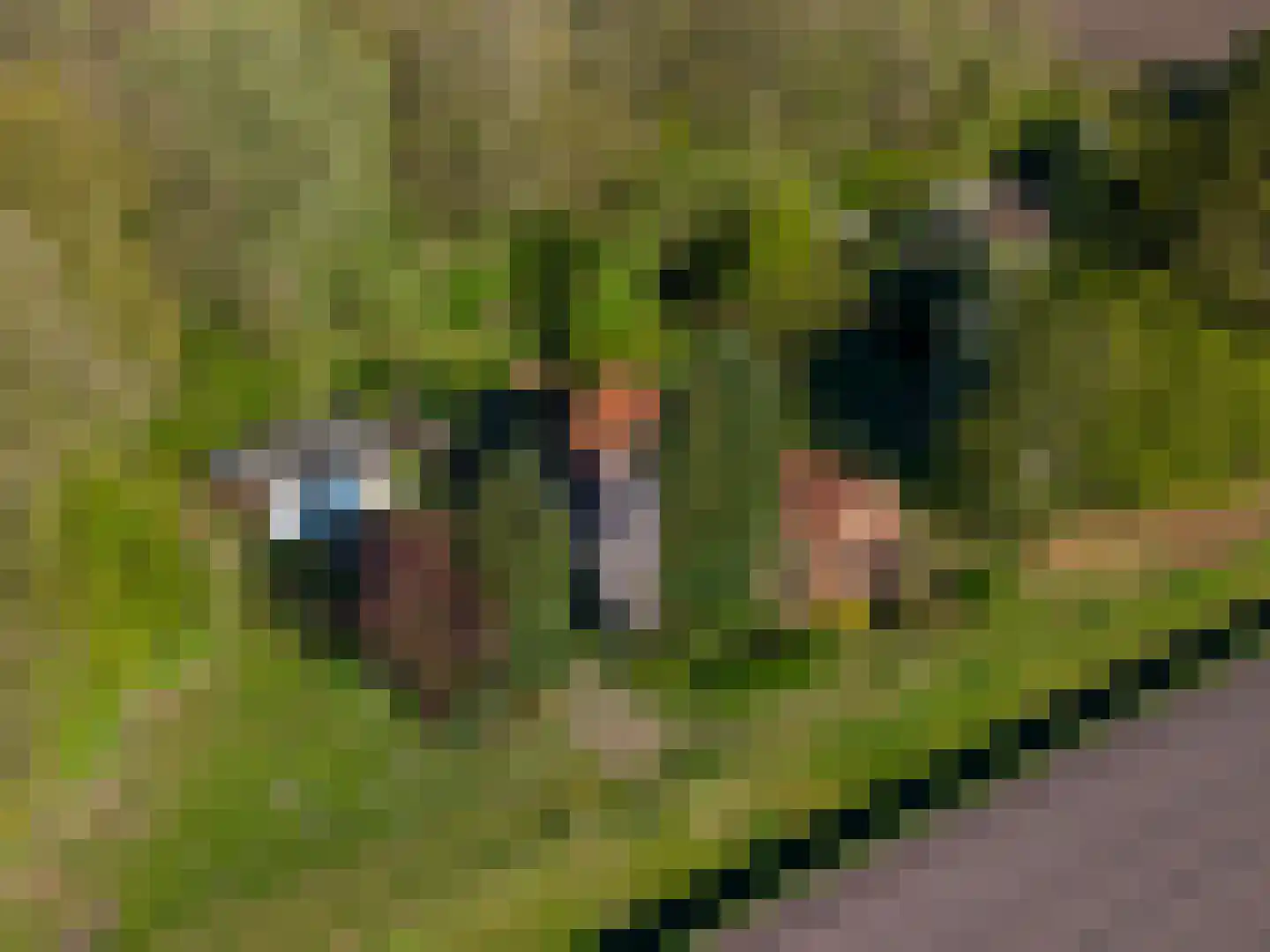 Dwangsweg 13 Noordbroek thumbnail 35
