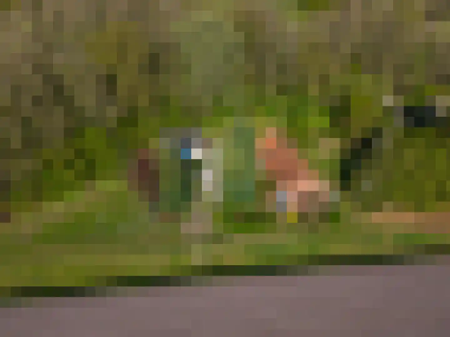 Dwangsweg 13 Noordbroek thumbnail 36